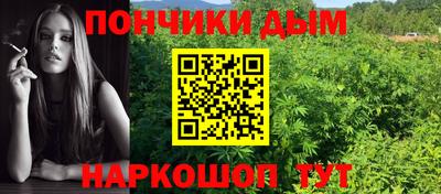 мет Дубна